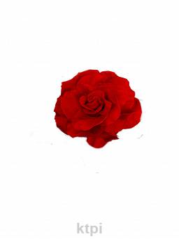 Ozdoba Do Włosów Róża Czerwona Duża Kokówka