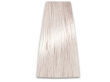 Chantal Prosalon Intensis Color Art Farba 10/1 100 - 2