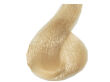 Ce-Ce Color Creme Farba do włosów 11,23 125 ml - 2