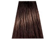 Chantal Prosalon Intensis Color Art Farba 5/4B 100 - 2