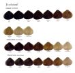 Alfaparf Evolution Farba 60ml Zestaw 12 szt - 6