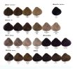 Alfaparf Evolution Farba 60ml Zestaw 12 szt - 5